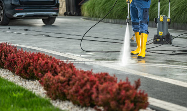 Best Pressure Washing Company Near Me  in Rosend, LA