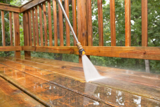 Best Exterior Home Cleaning  in Rosend, LA